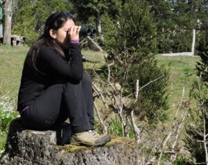 Monitoreo-de-transito-aereo-de-aves